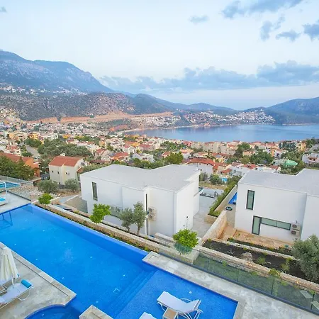 Tigra Kalkan